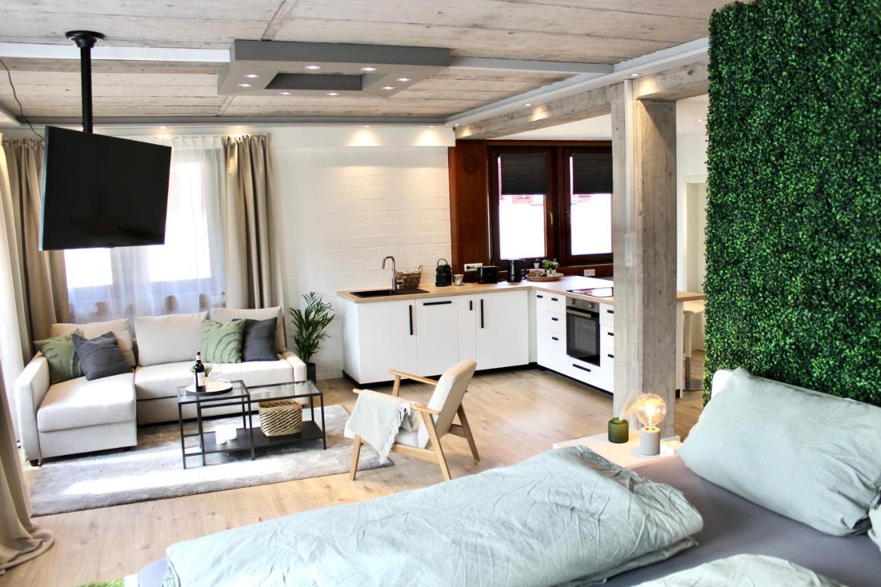 Vier Sind Hier Apartments Rottweil Eksteriør billede
